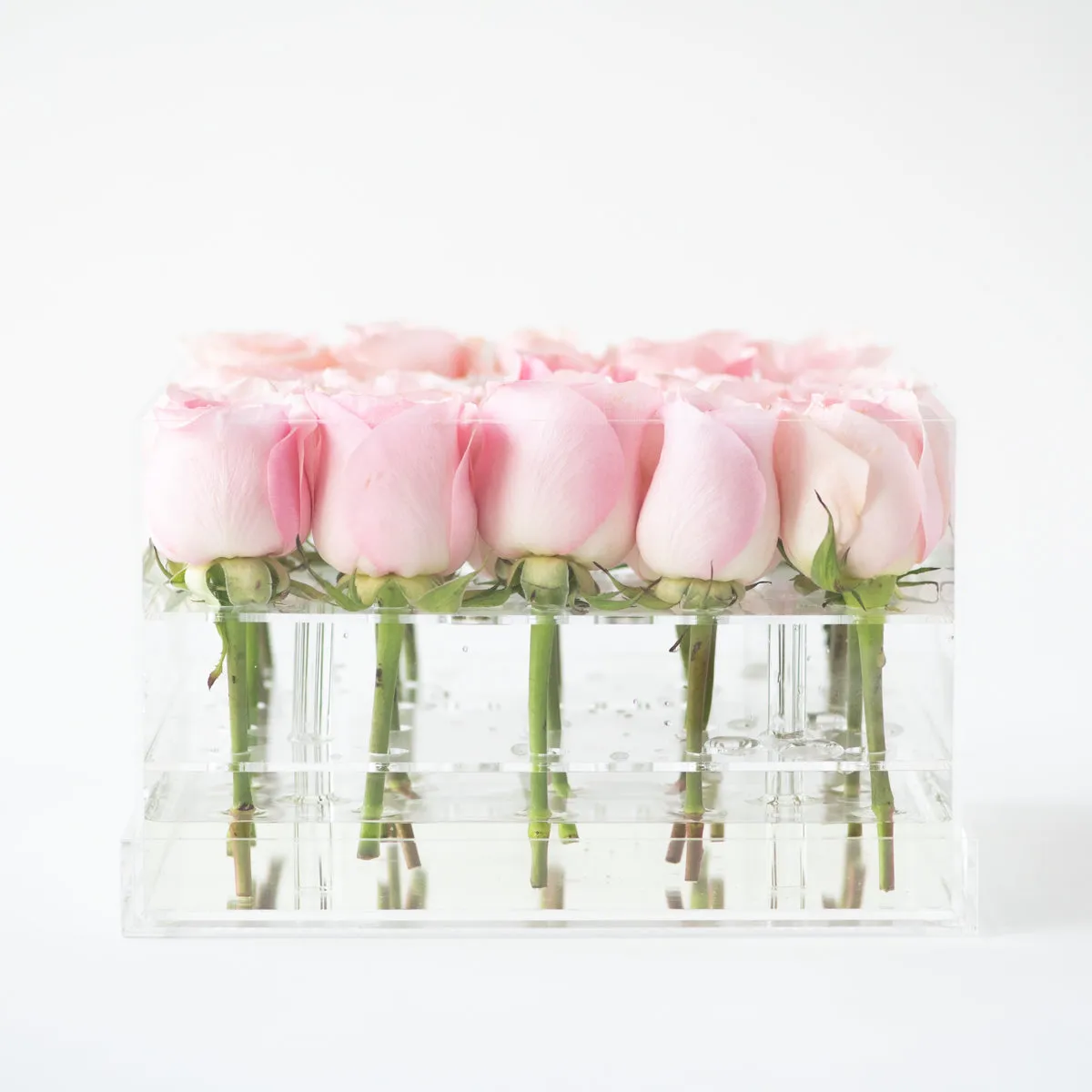 25 Roses