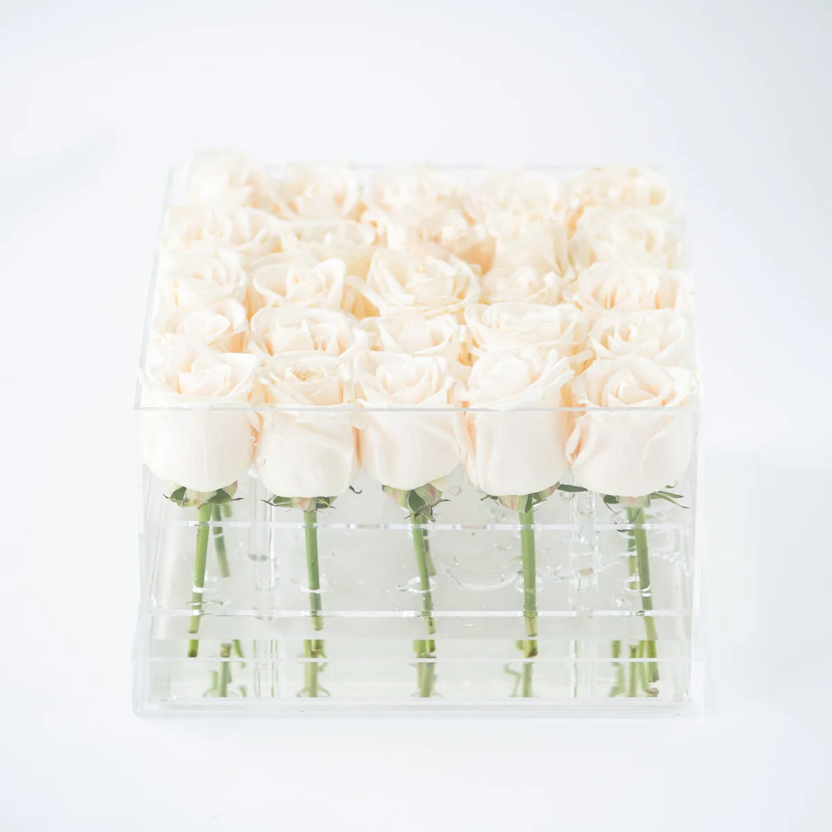 25 Roses