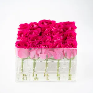 25 Roses