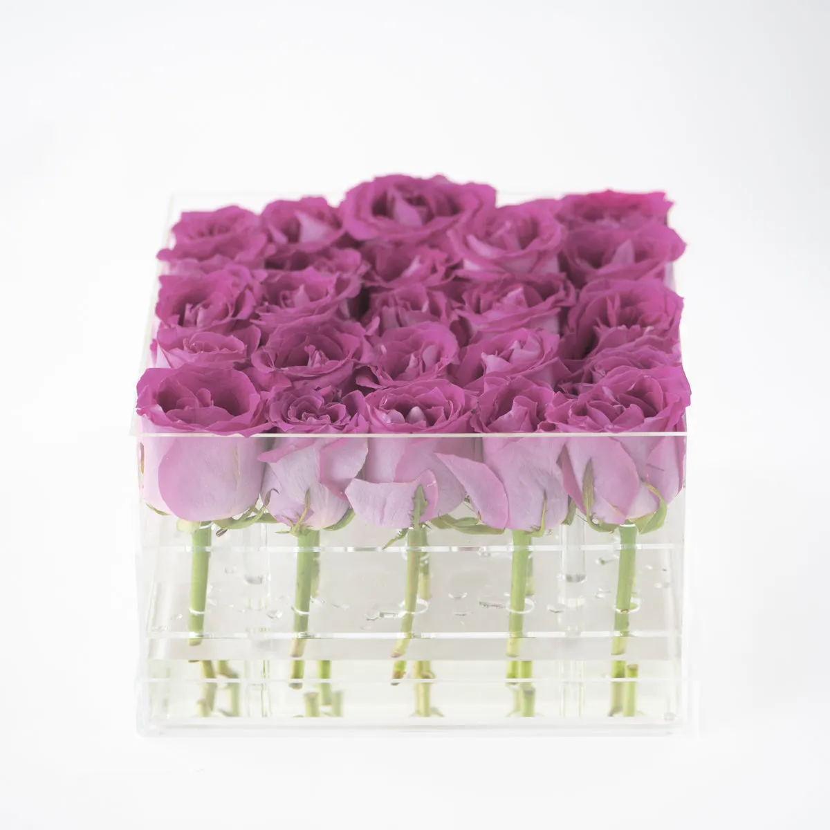 25 Roses
