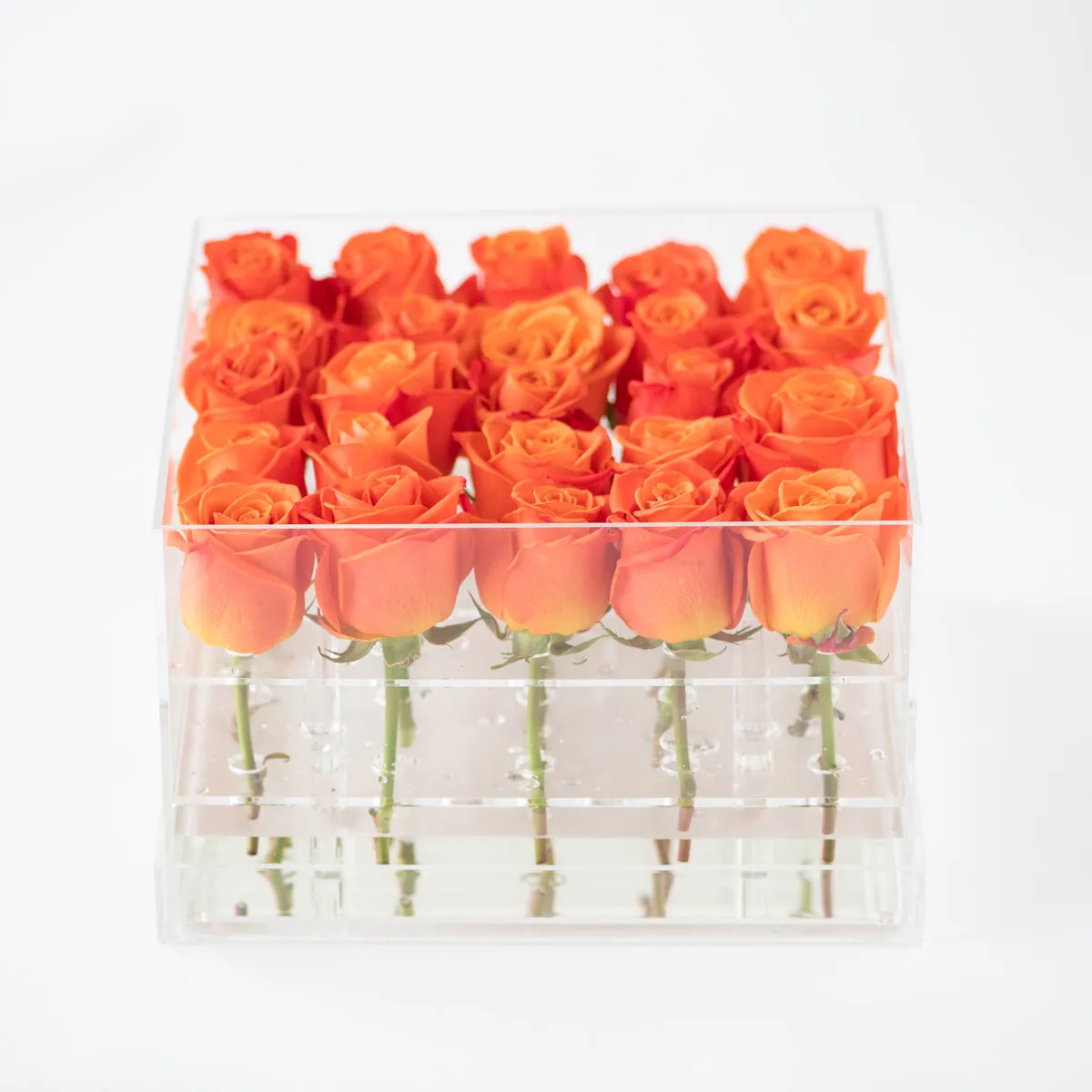25 Roses