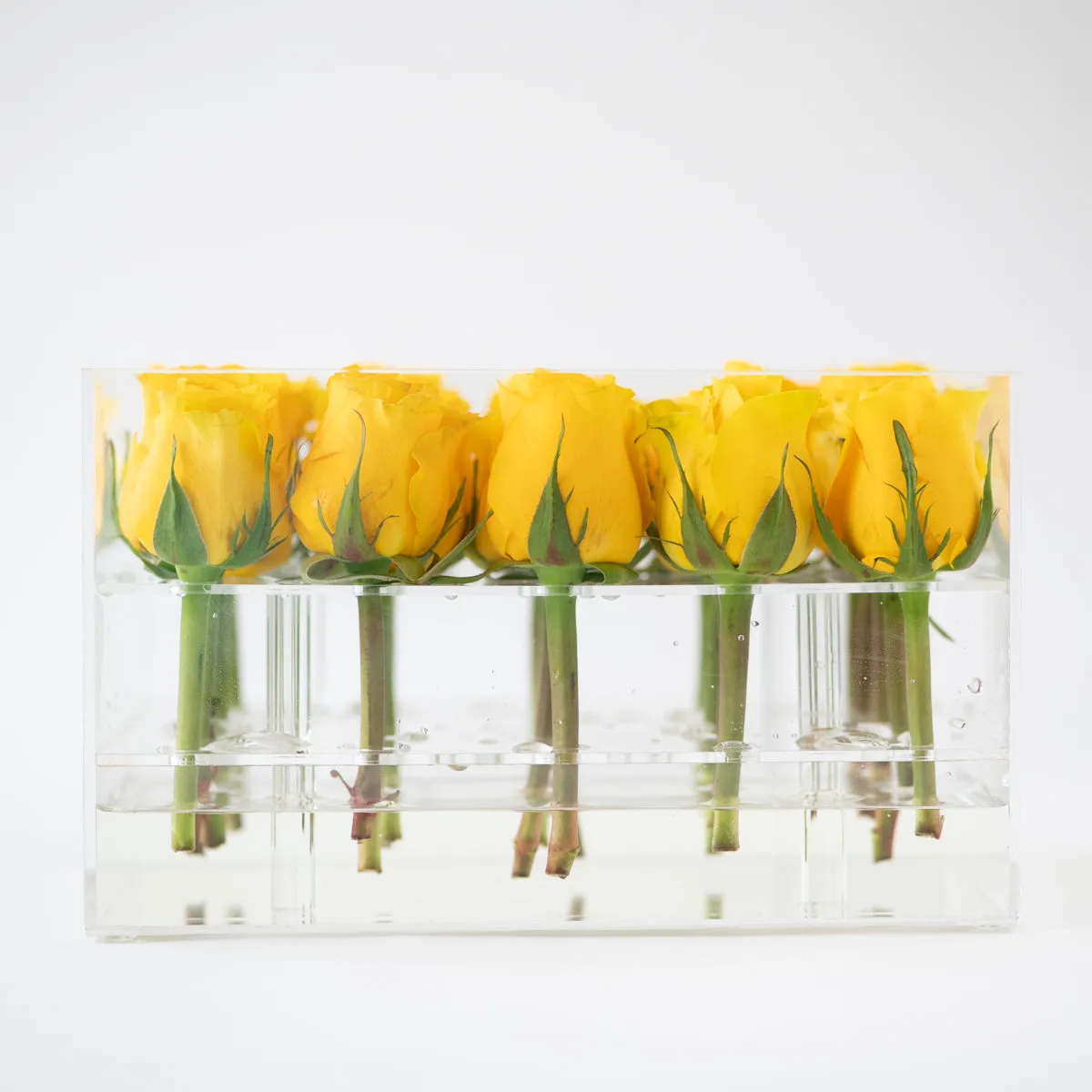 25 Roses