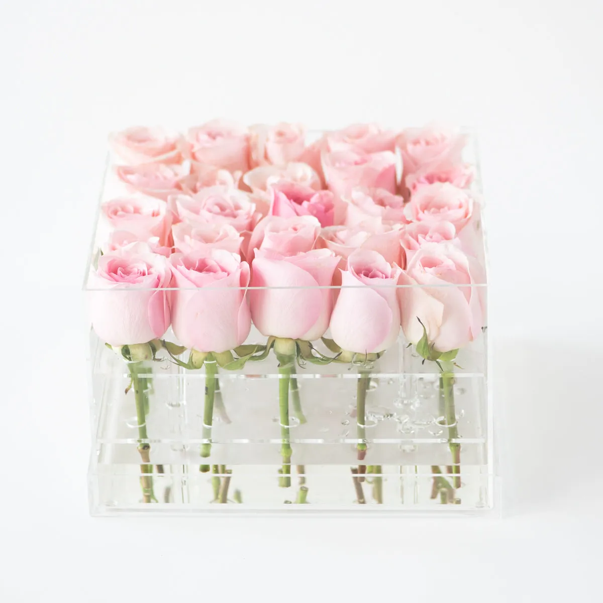 25 Roses