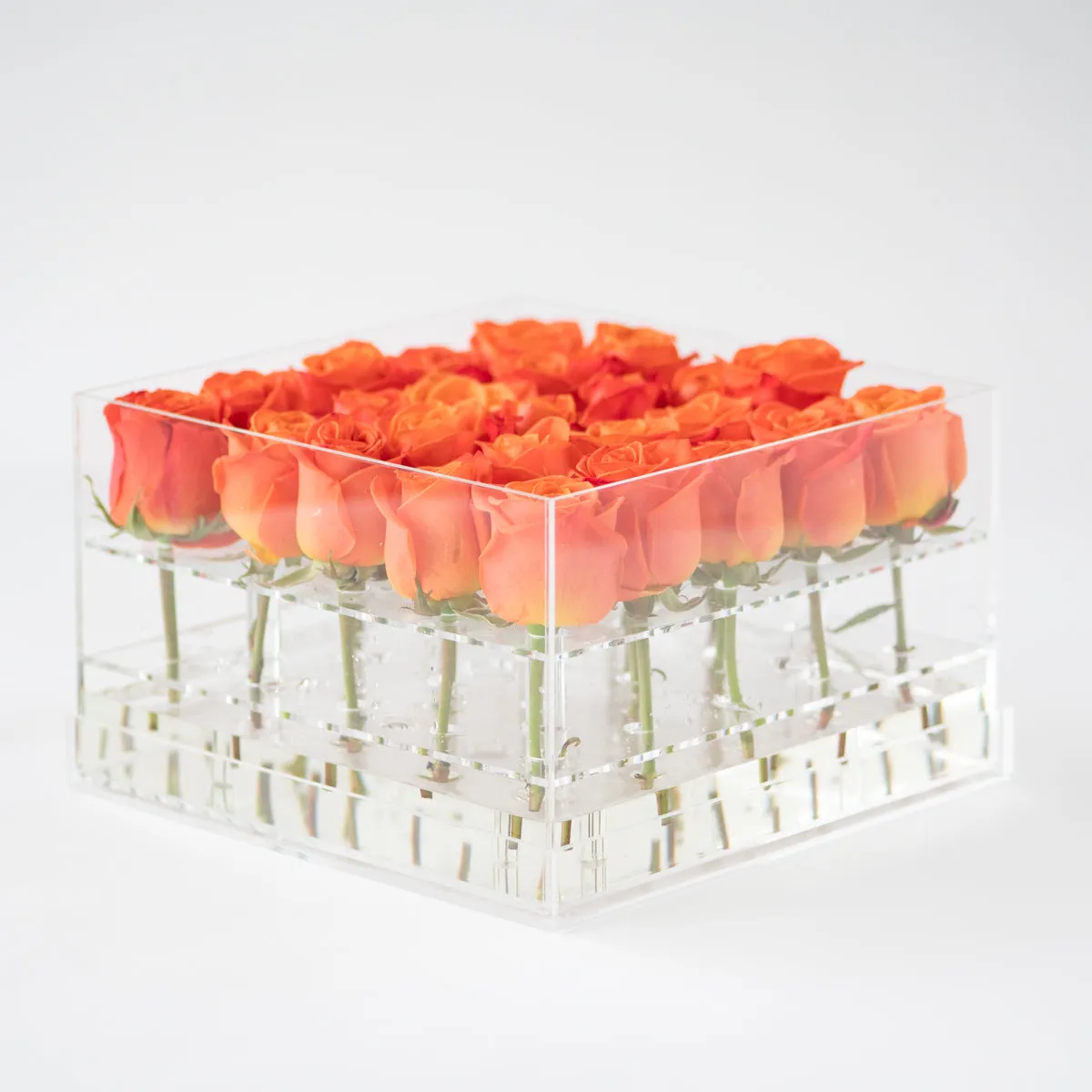 25 Roses