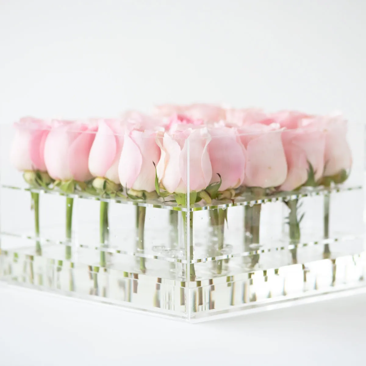 25 Roses
