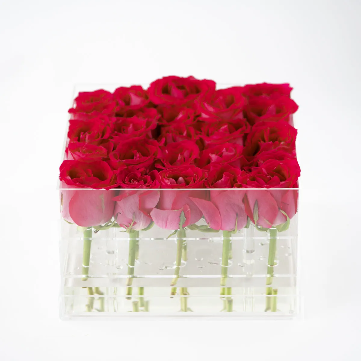 25 Roses