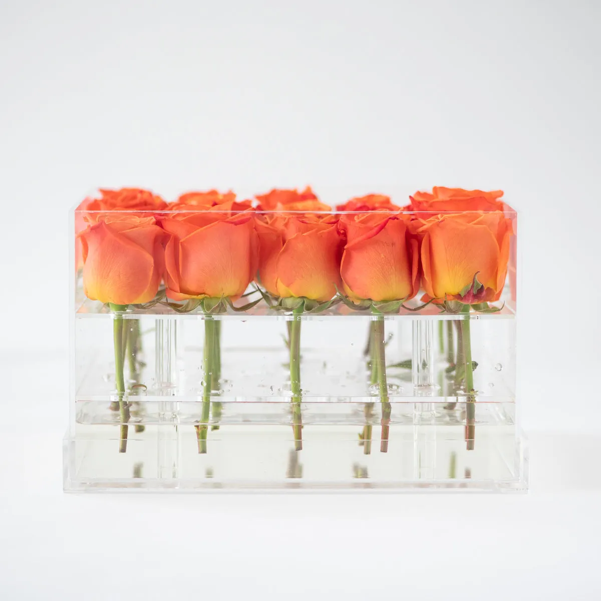 25 Roses