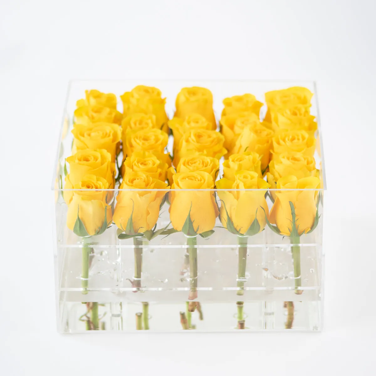25 Roses