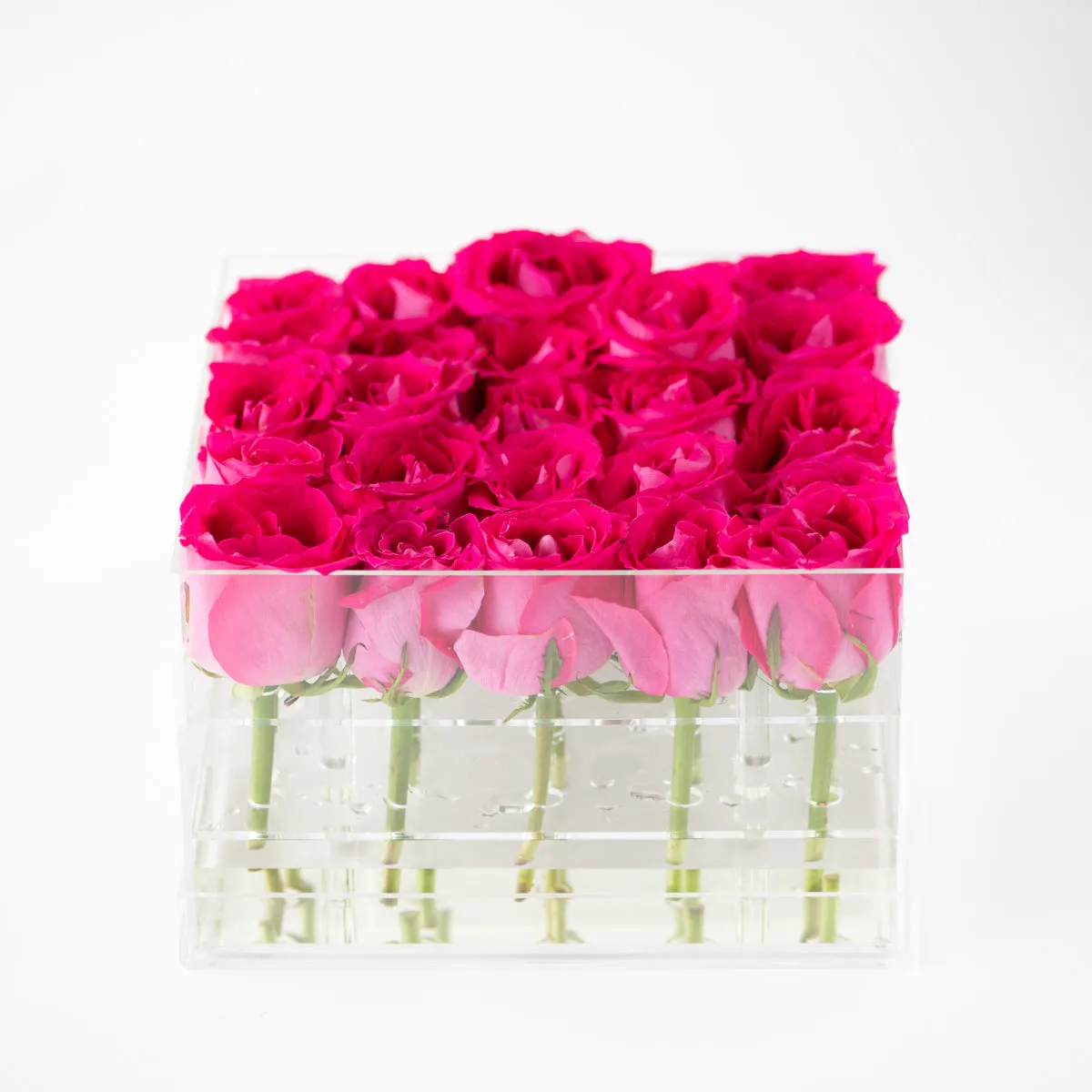 25 Roses