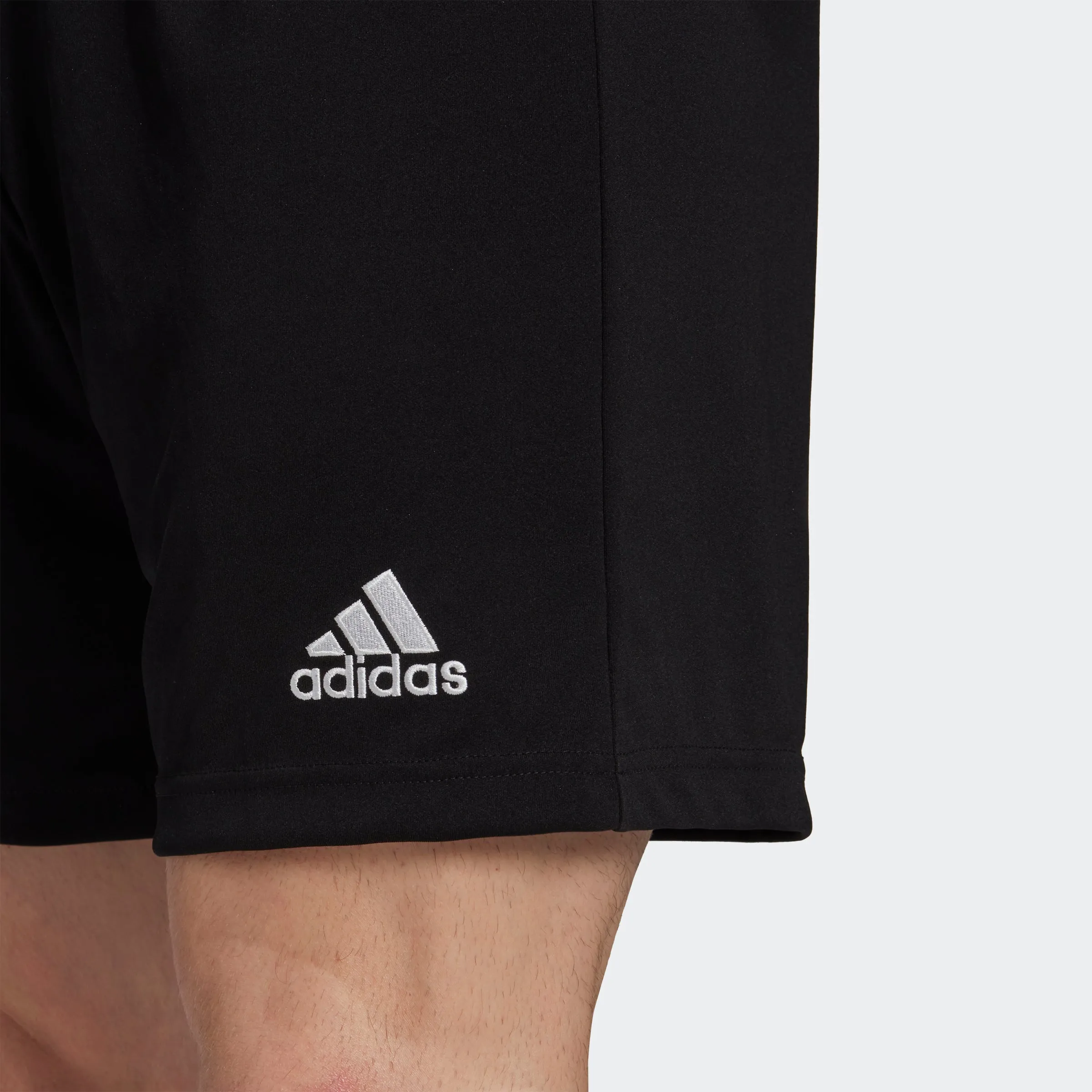 adidas ENTRADA 22 Match Shorts | Black | Men's