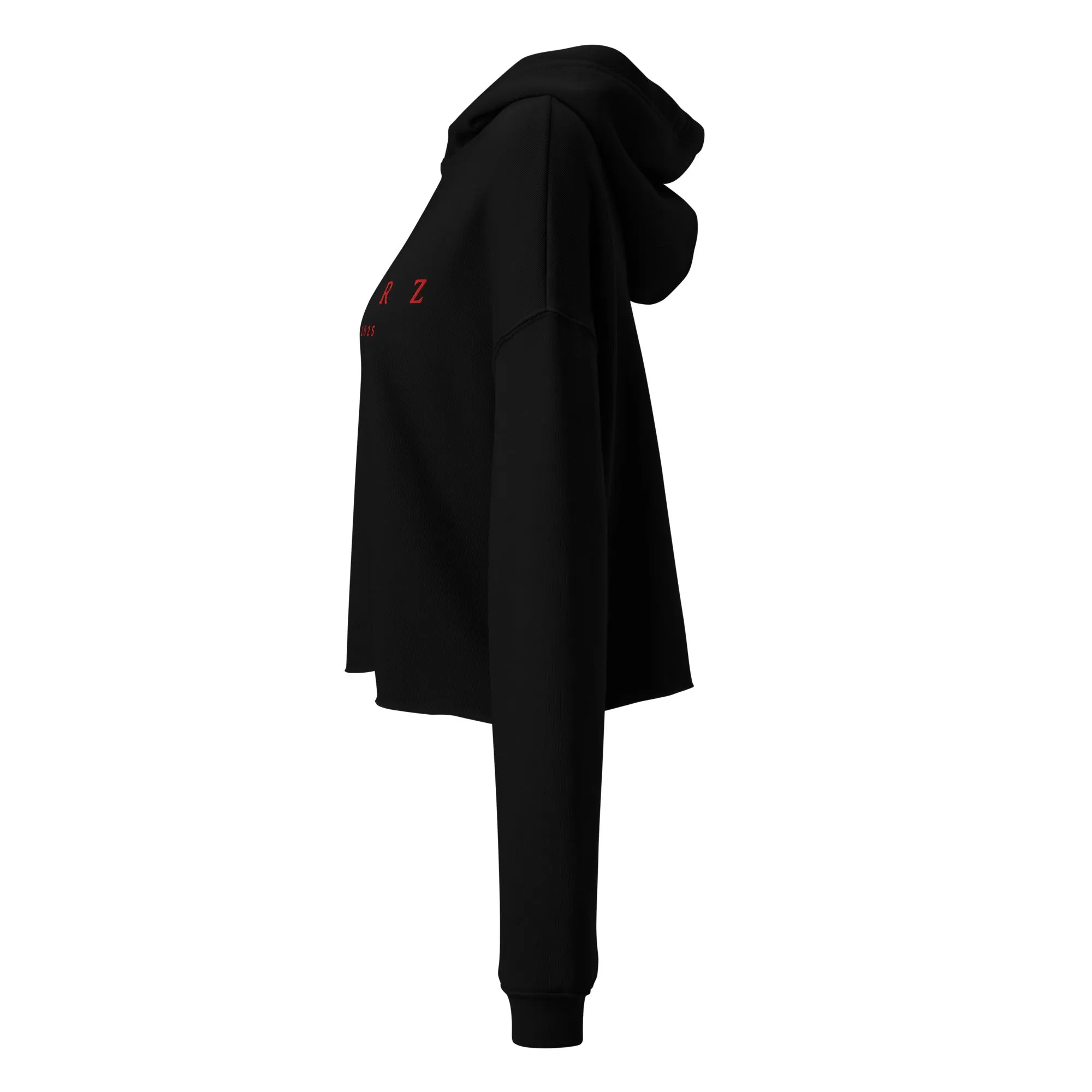 Aftrz Embroidered Crop Hoodie