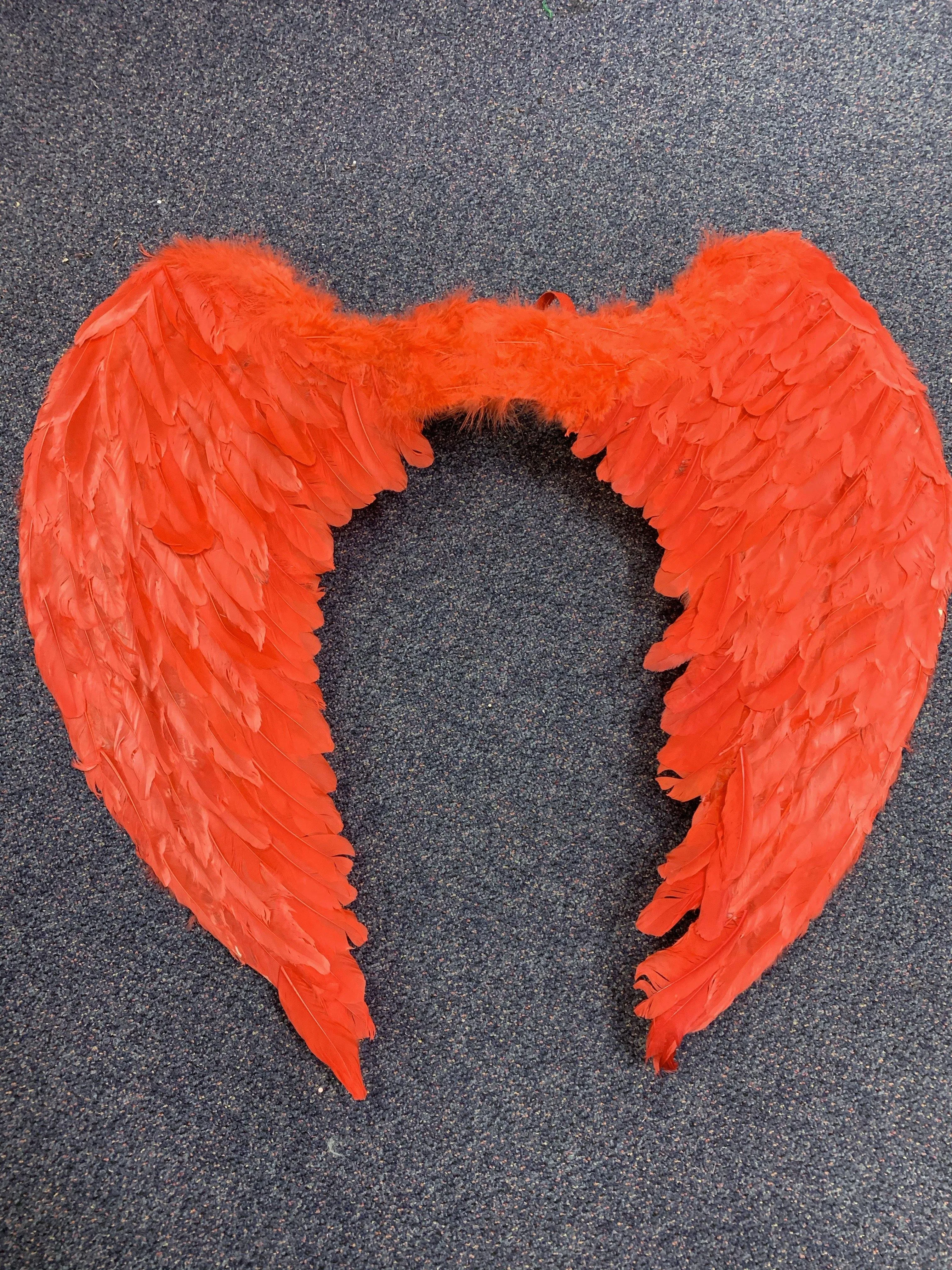 Angel Wings - Extra Large