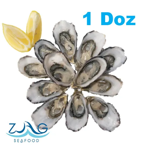 Australian Pacific Oysters