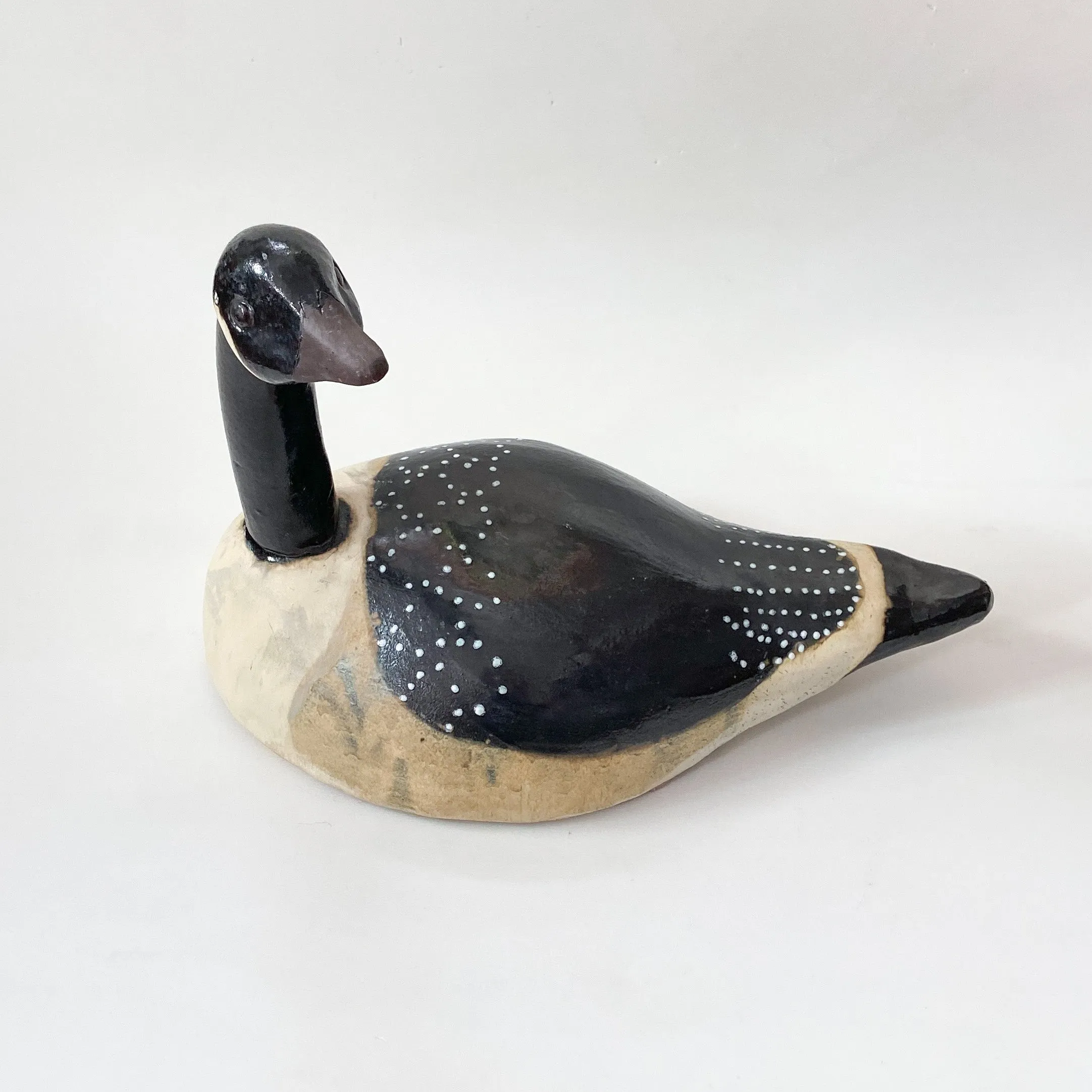 Canadian Goose