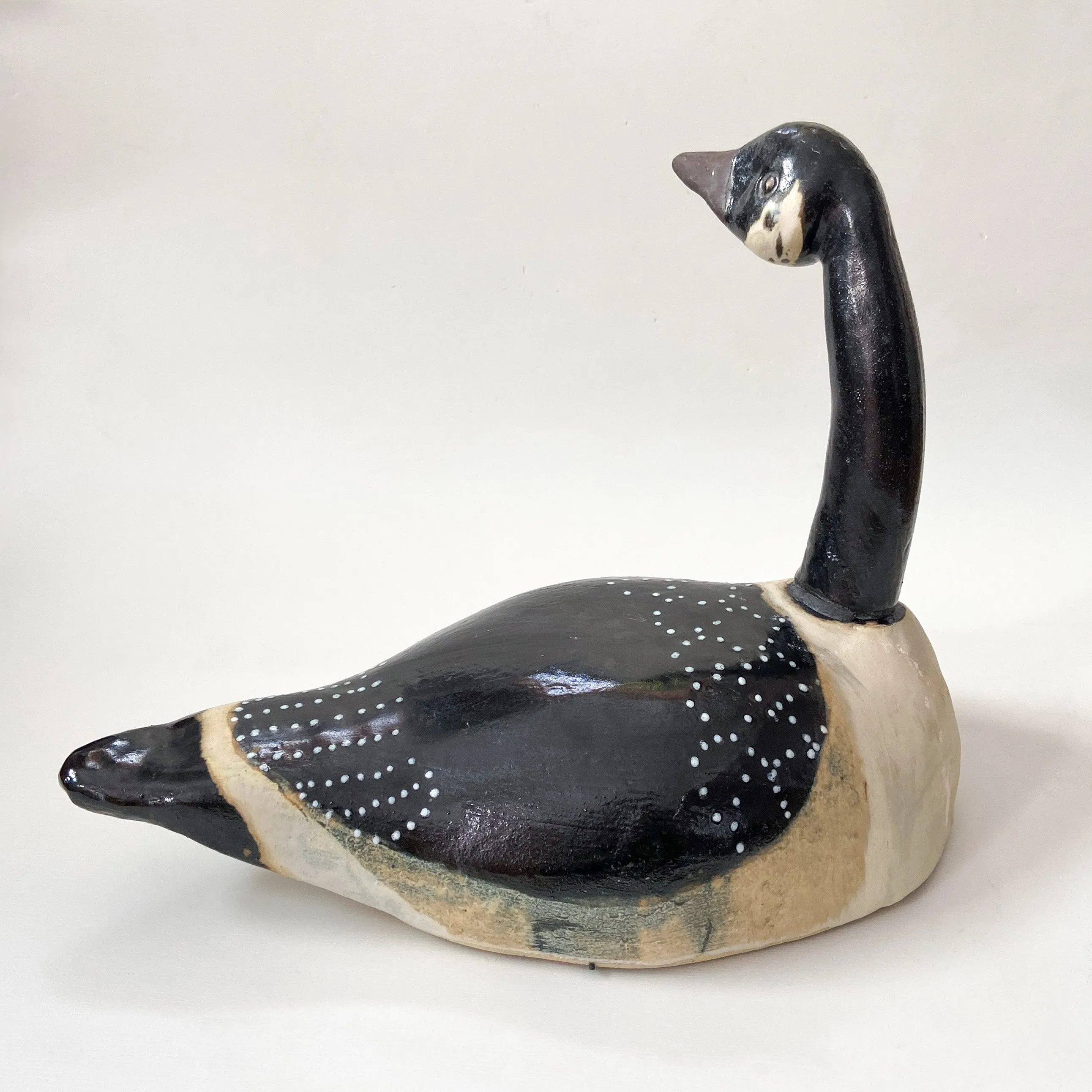 Canadian Goose