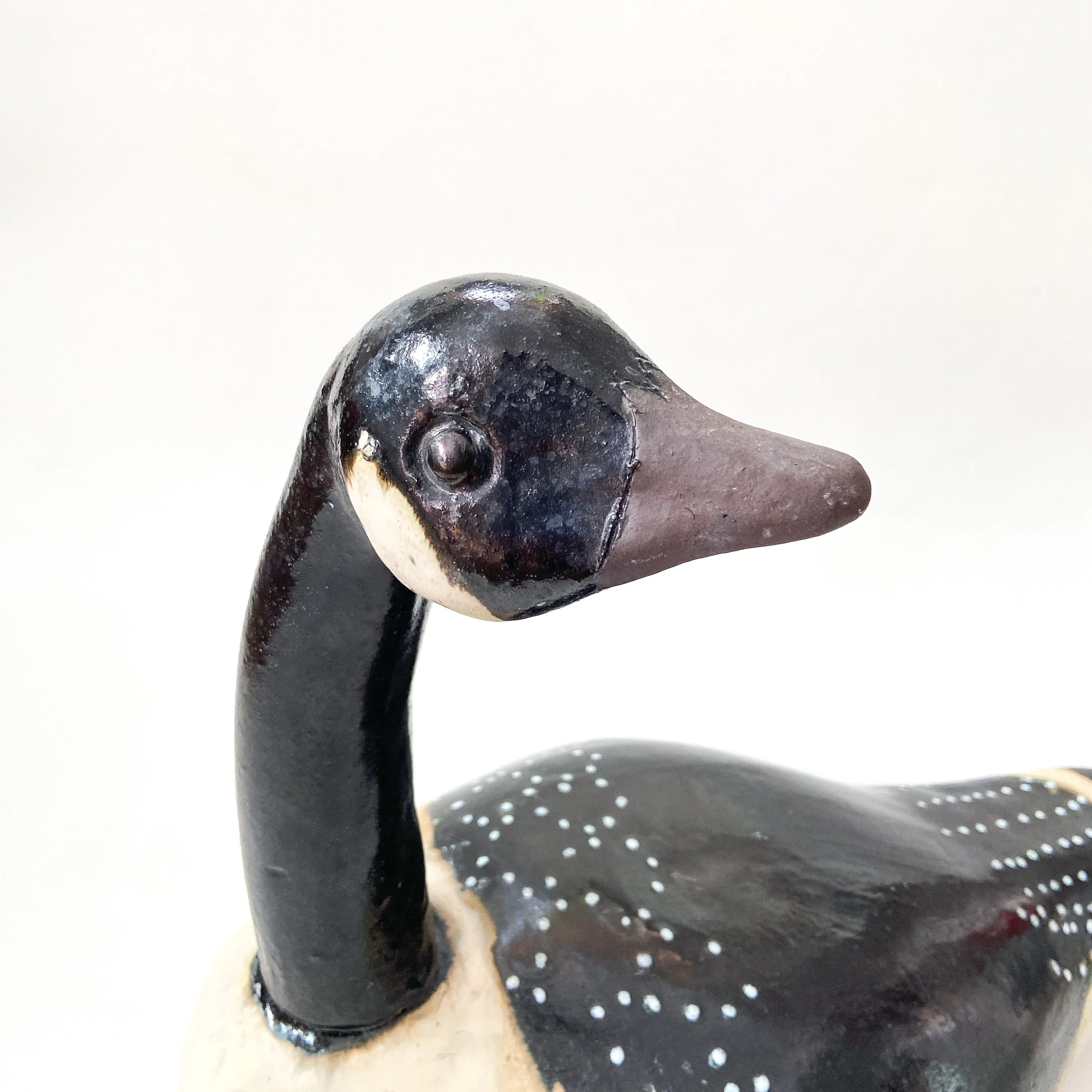 Canadian Goose