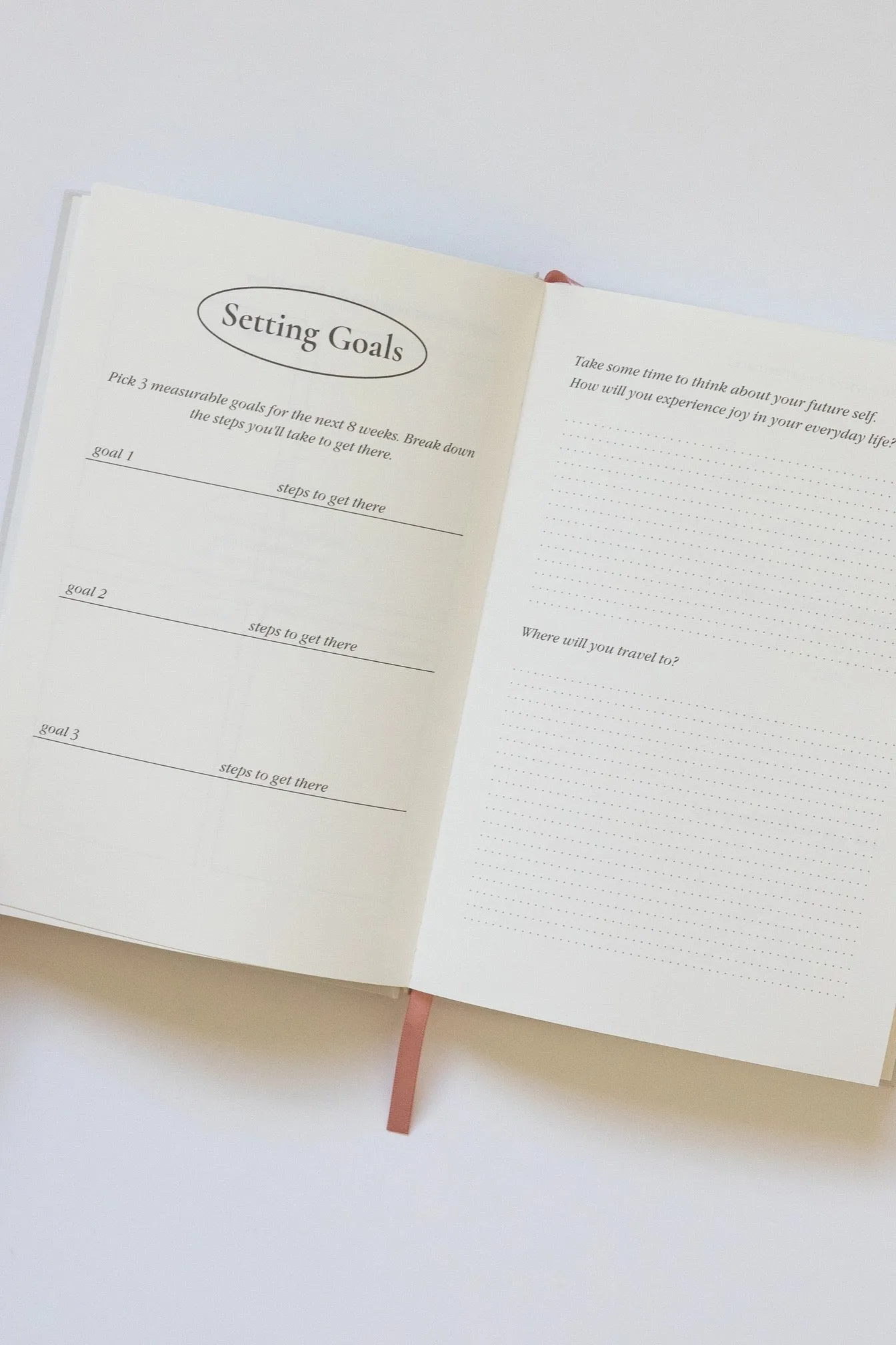 Cool Girls Have Wellness Journals