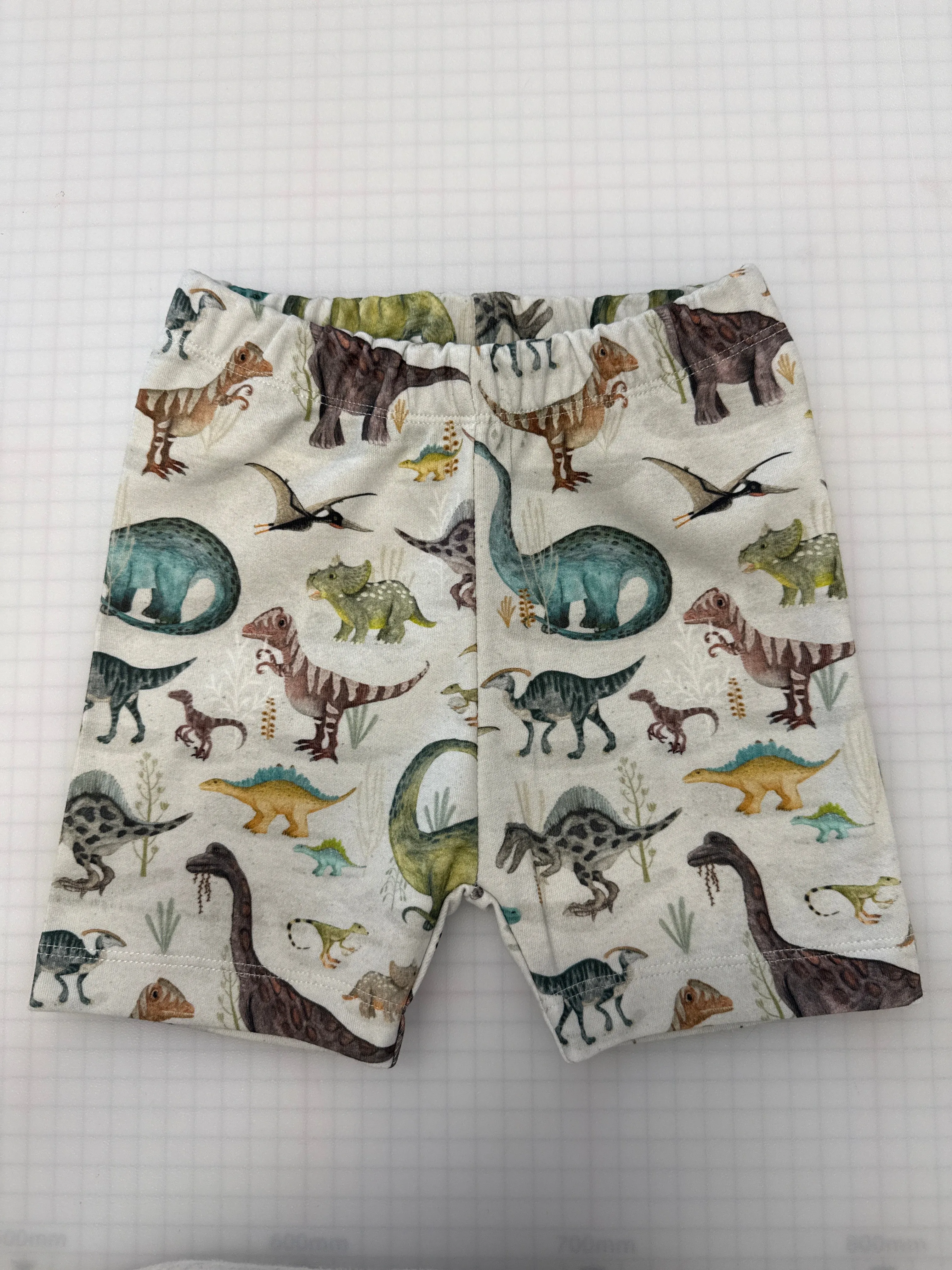 Dawn Of The Dino Stitched Shorts | Ready To Post