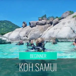 Diving Koh Samui - At beach for beginners