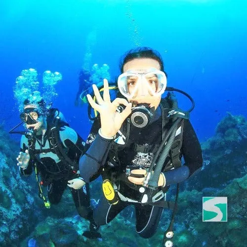 Diving Koh Samui - At beach for beginners