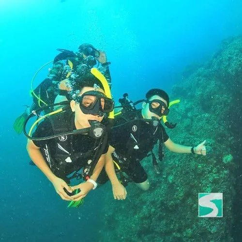 Diving Koh Samui - At beach for beginners