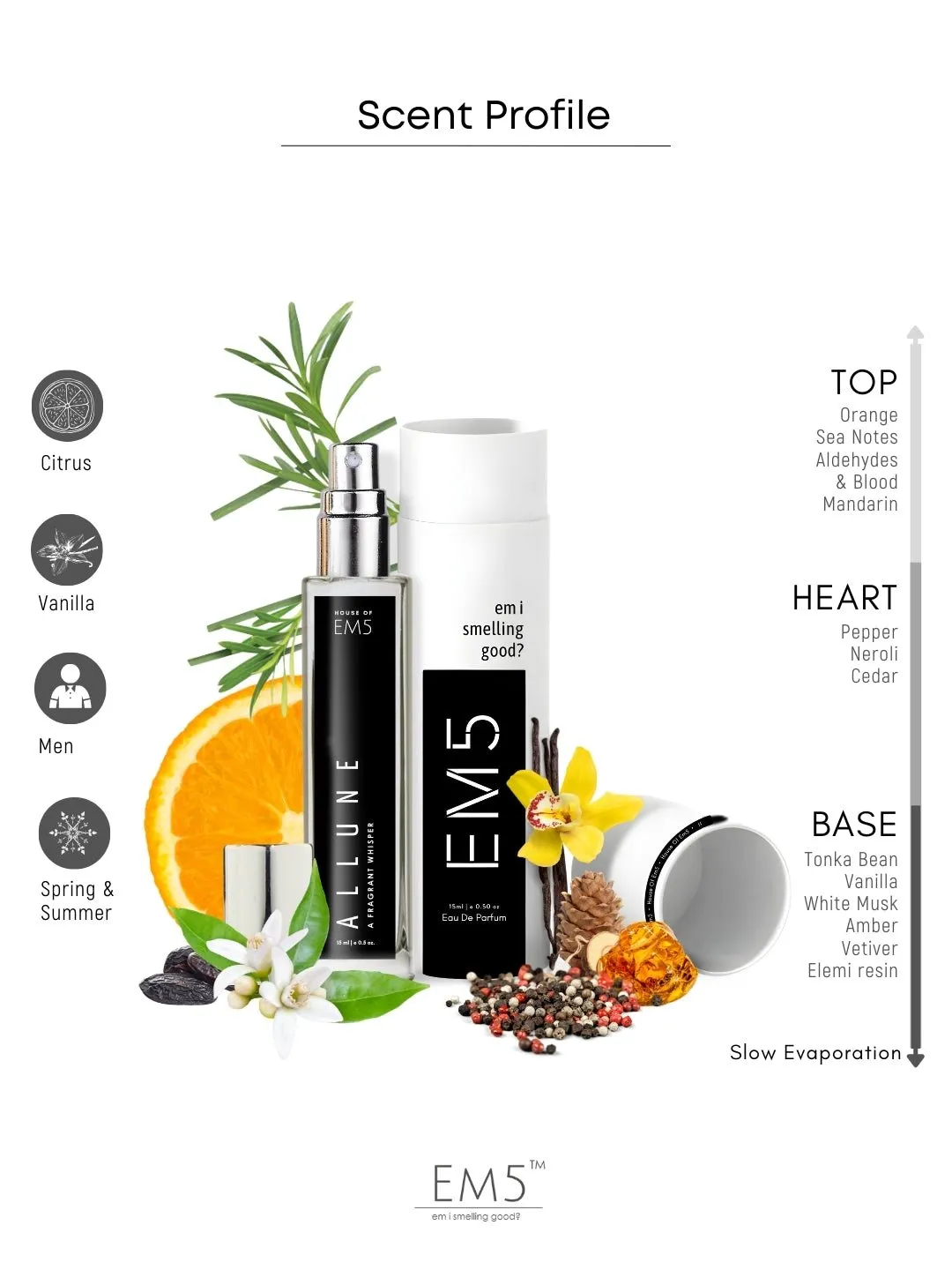 EM5™ Allune Perfume EDP Spray for Men | Citrus Aromatic Vanilla Fragrance Accords | Luxury Gift for Him | Variants Available: 50 ml Spray / 15 ml Spray