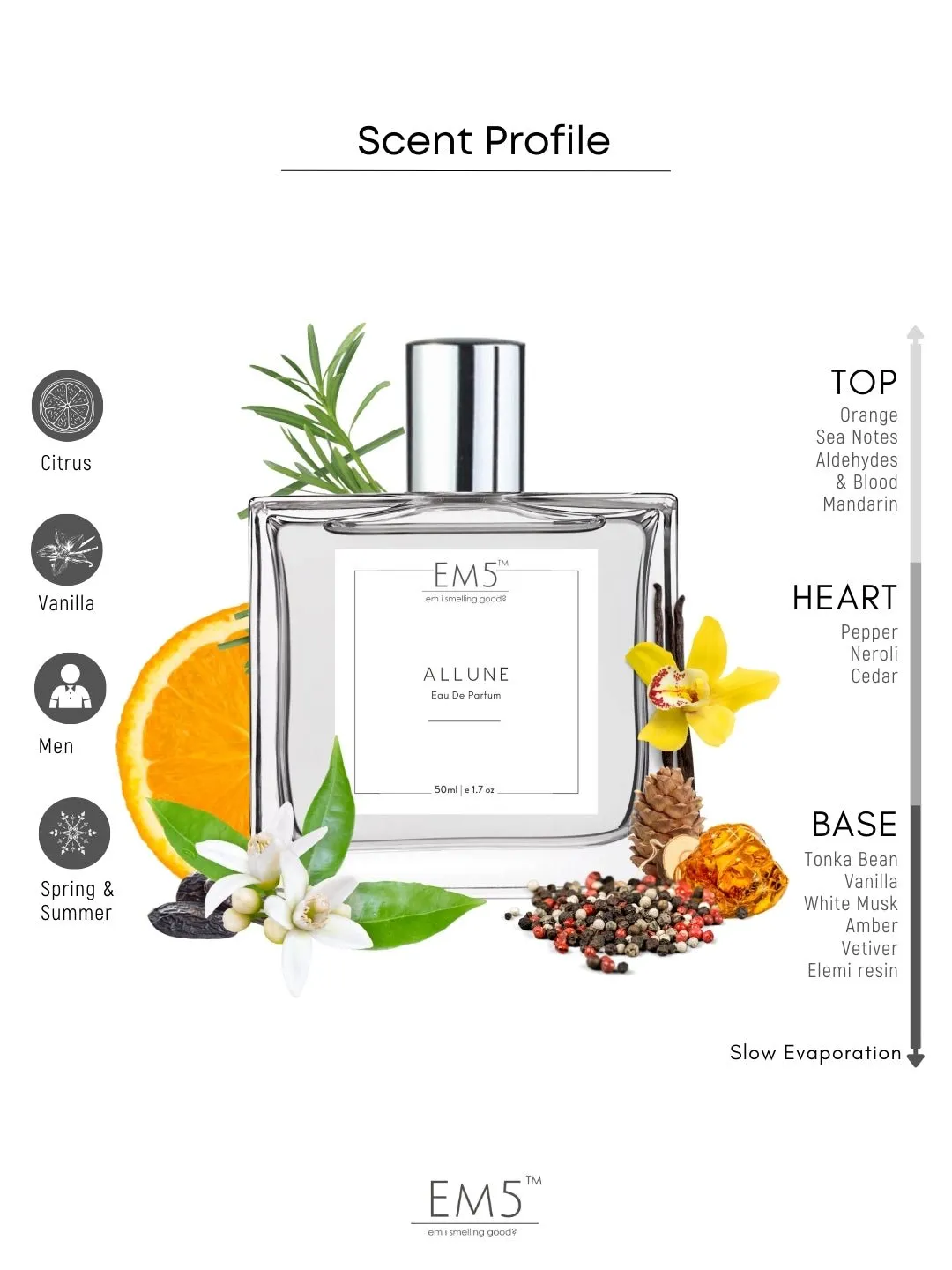 EM5™ Allune Perfume EDP Spray for Men | Citrus Aromatic Vanilla Fragrance Accords | Luxury Gift for Him | Variants Available: 50 ml Spray / 15 ml Spray