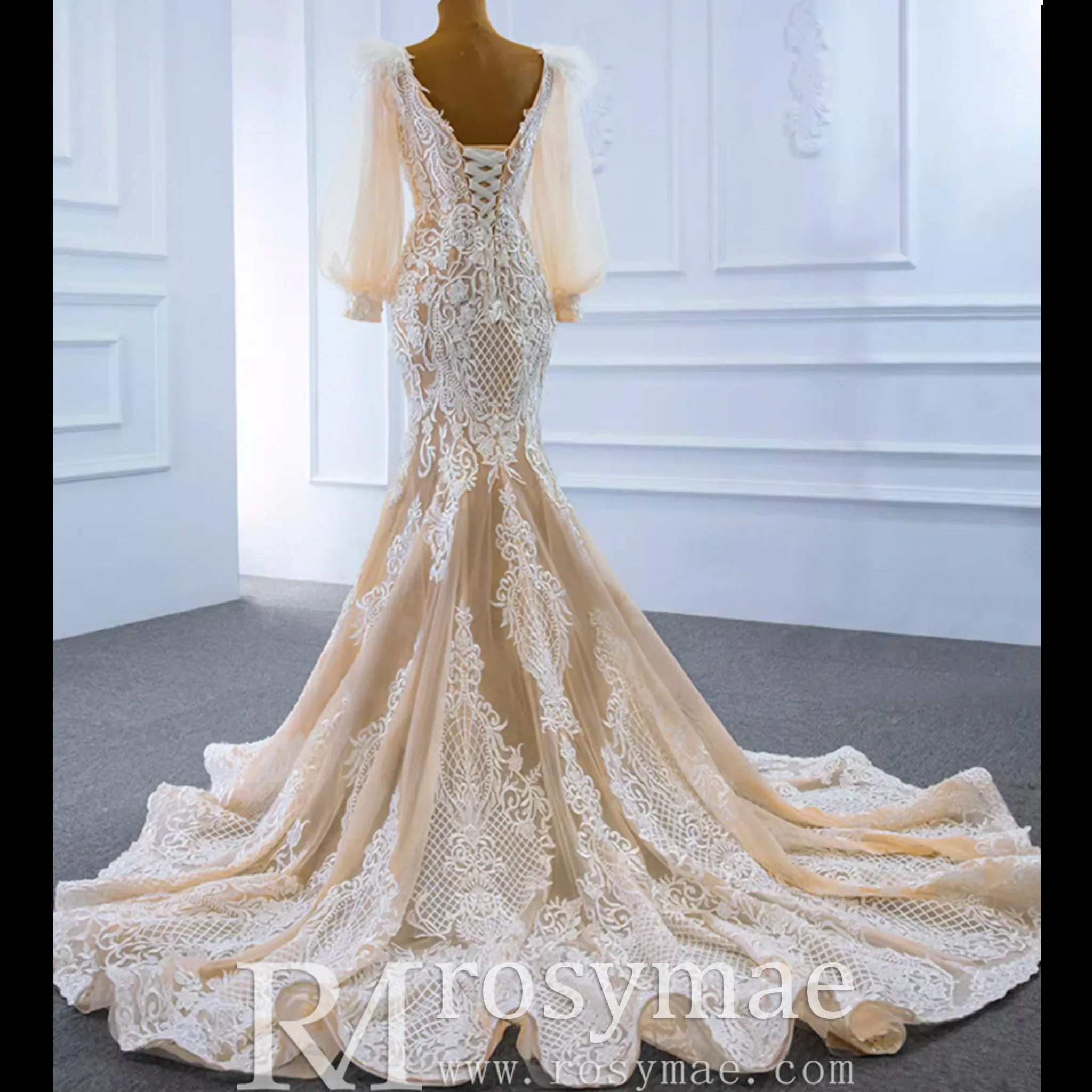 Illustion Neck Puffy Sleeved Mermaid Wedding Dress With Feather