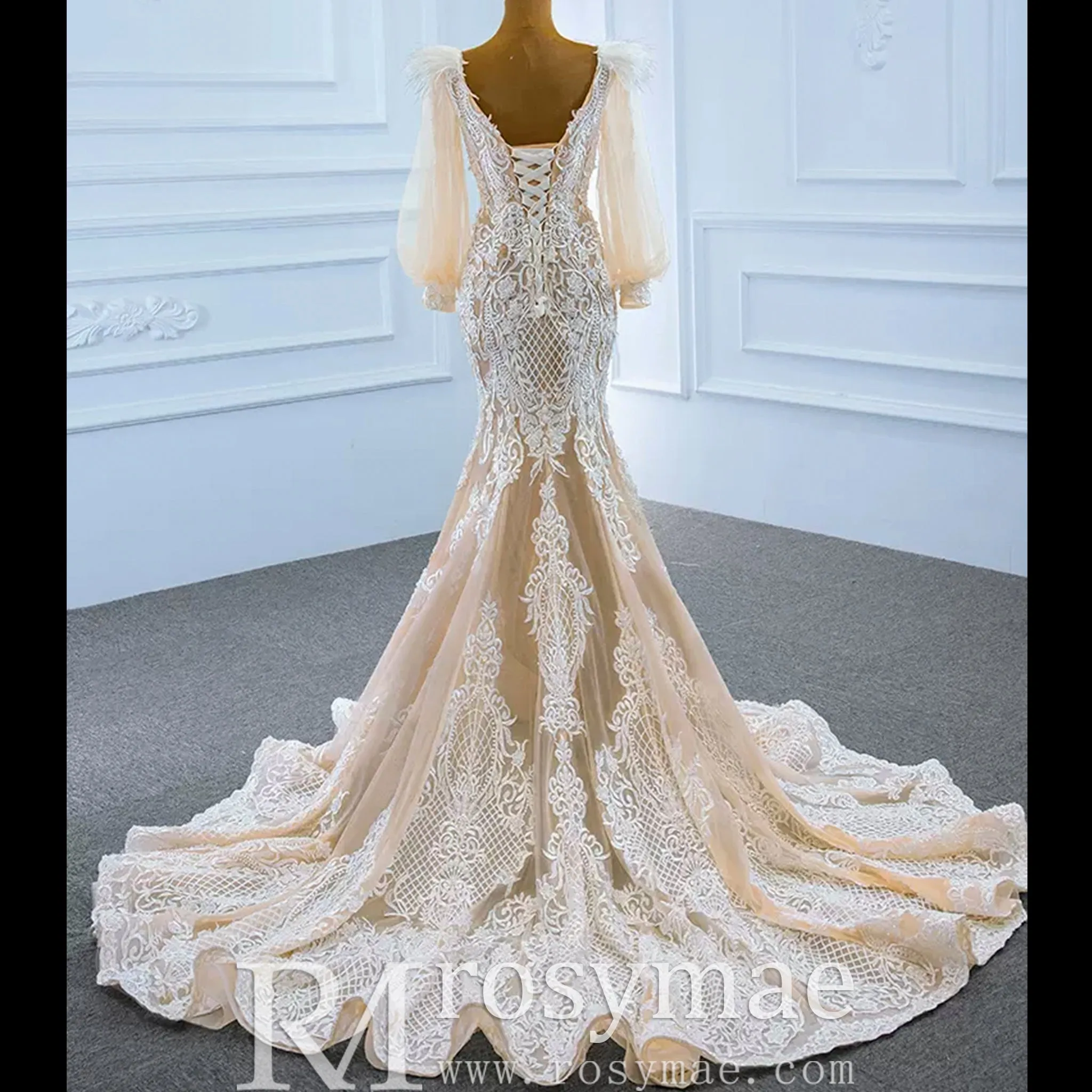 Illustion Neck Puffy Sleeved Mermaid Wedding Dress With Feather