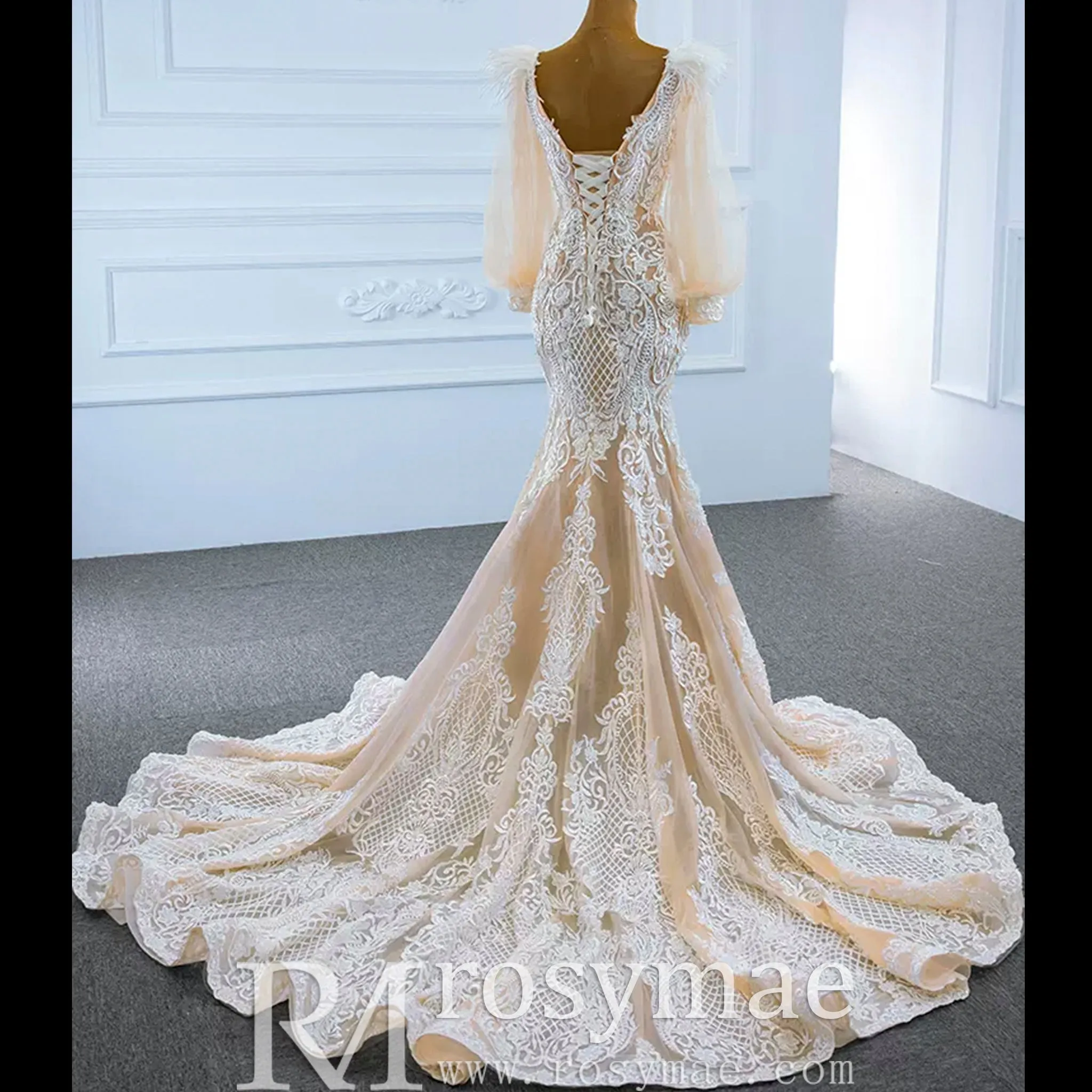 Illustion Neck Puffy Sleeved Mermaid Wedding Dress With Feather