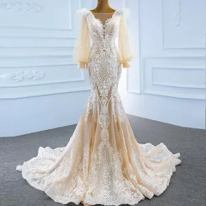 Illustion Neck Puffy Sleeved Mermaid Wedding Dress With Feather