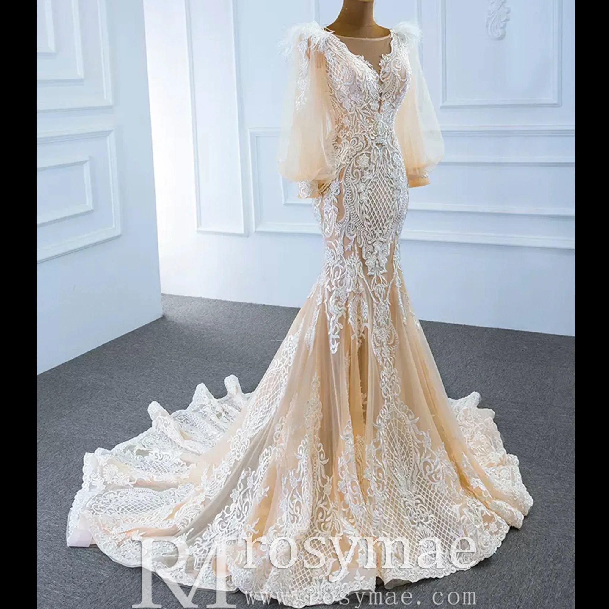 Illustion Neck Puffy Sleeved Mermaid Wedding Dress With Feather