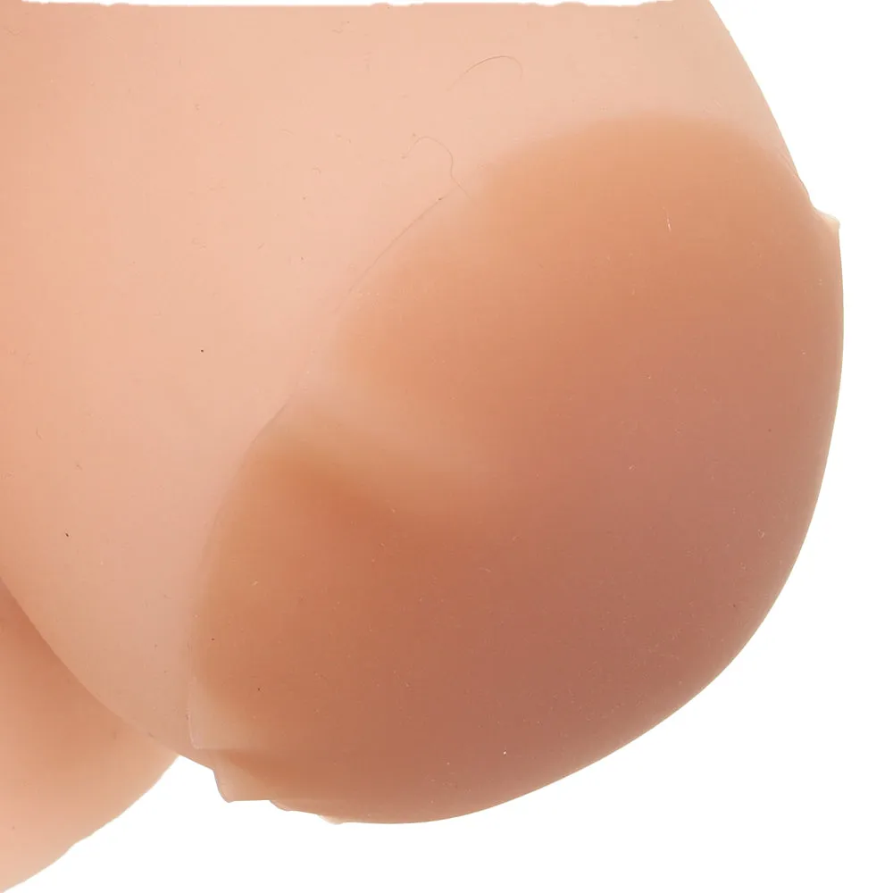 Intimately GG Nipple Covers in Tan