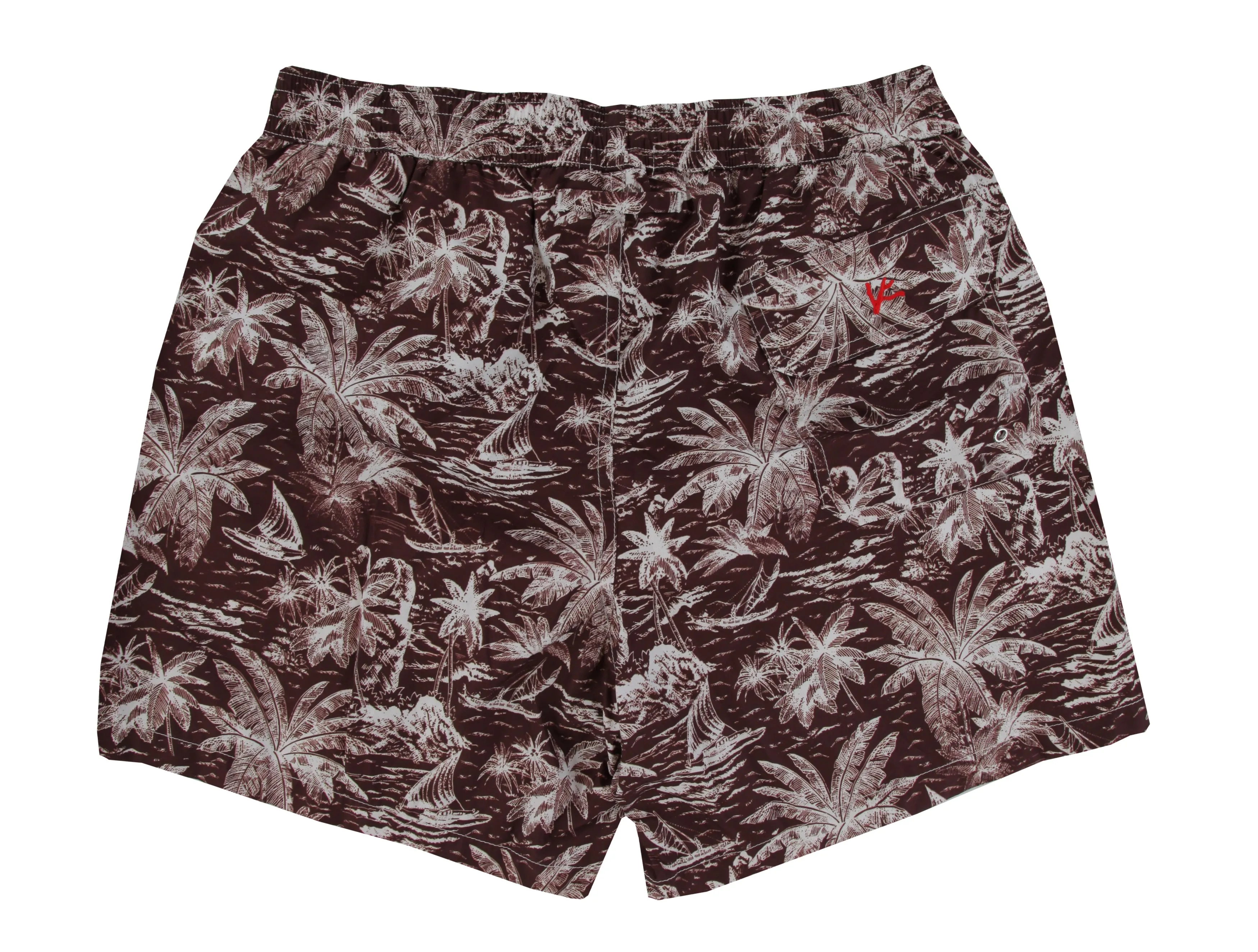 Isaia Brown Swim Shorts