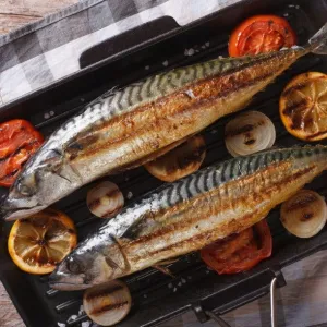 Mackerel
