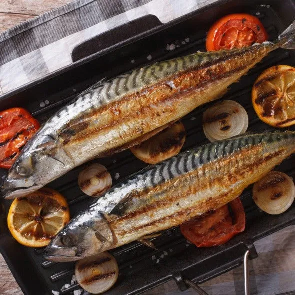 Mackerel