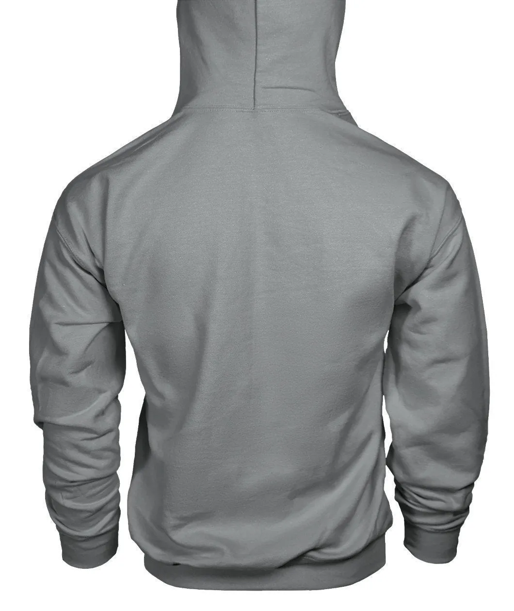 NASA Gildan Hoodie
