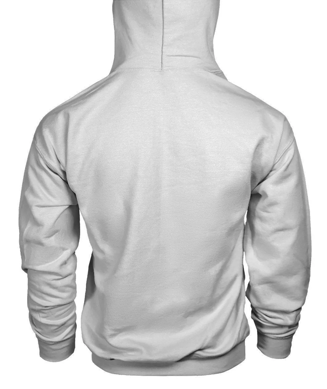 NASA Gildan Hoodie