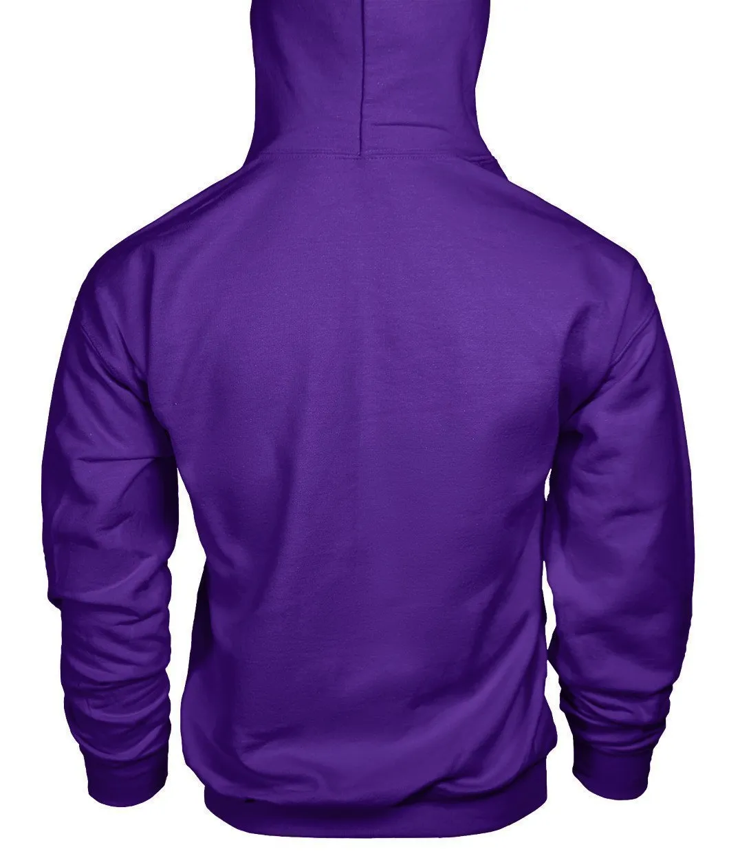 NASA Gildan Hoodie