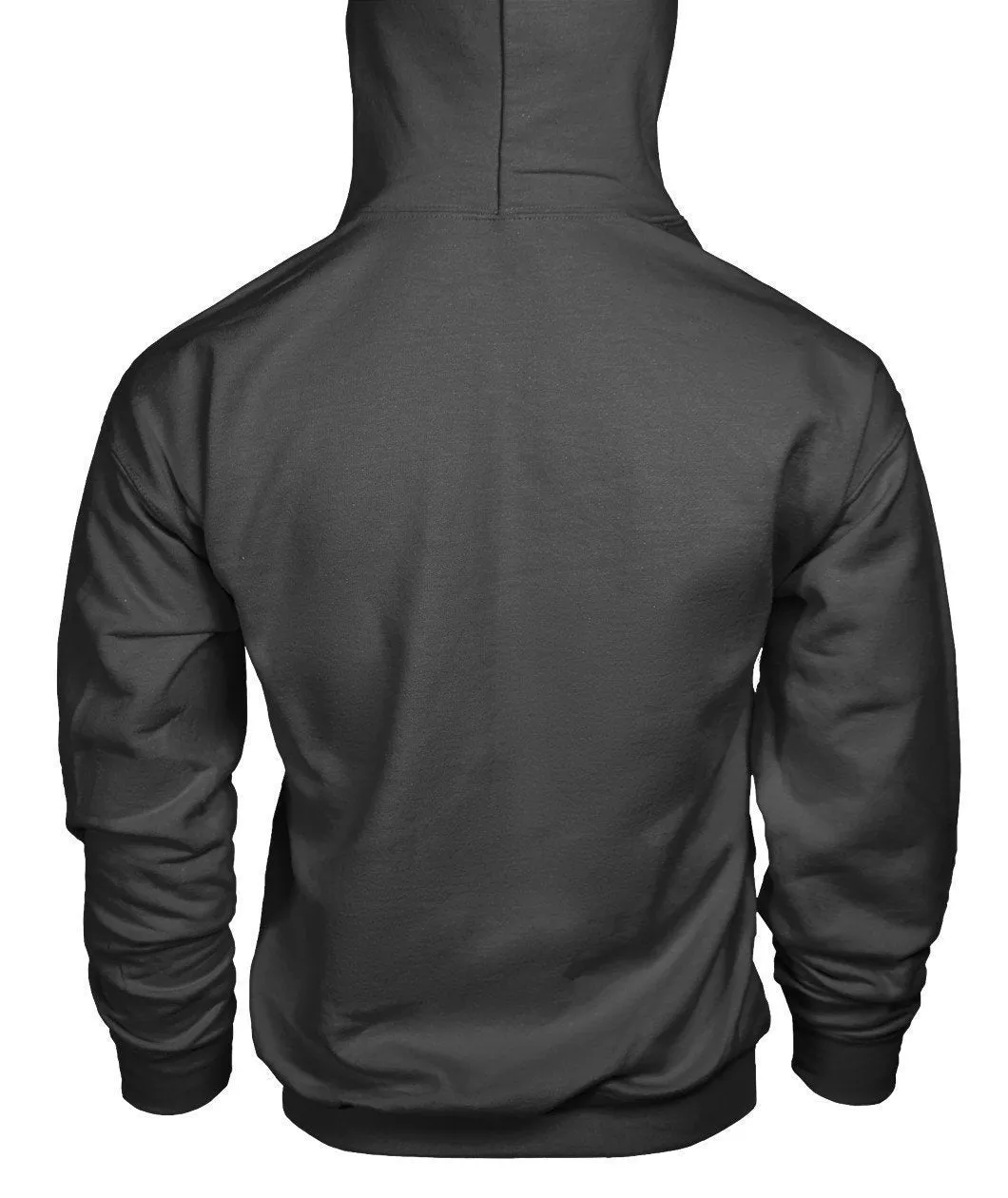 NASA Gildan Hoodie