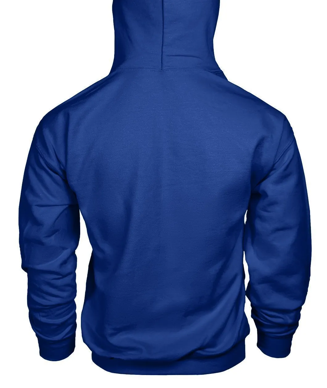 NASA Gildan Hoodie