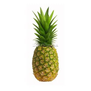 Pineapple (Large)