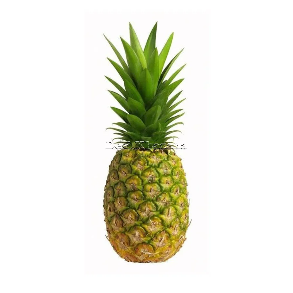 Pineapple (Large)