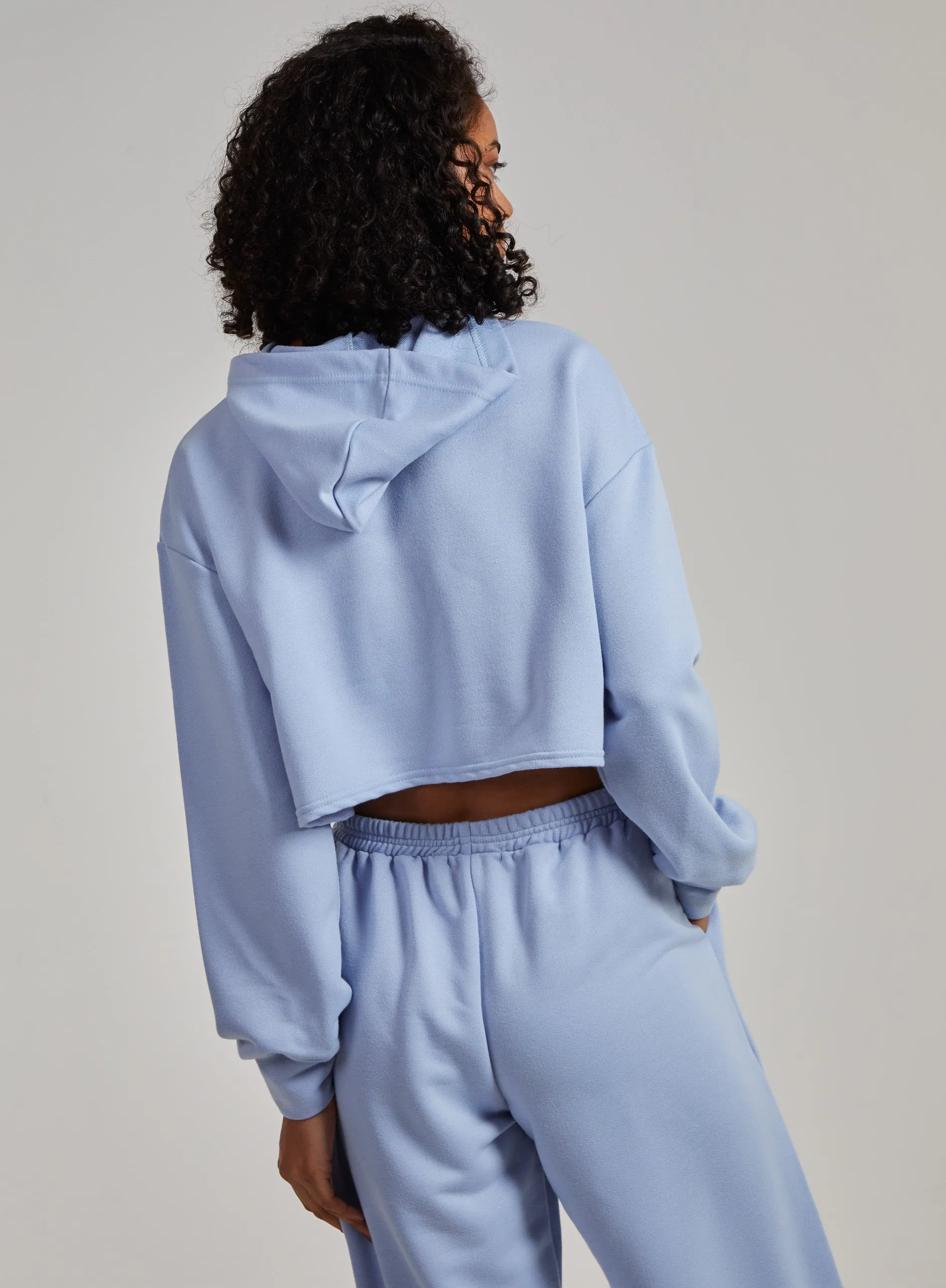 PV Sport Cropped Hoodie