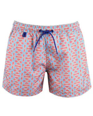 Seyhelles Swim Shorts