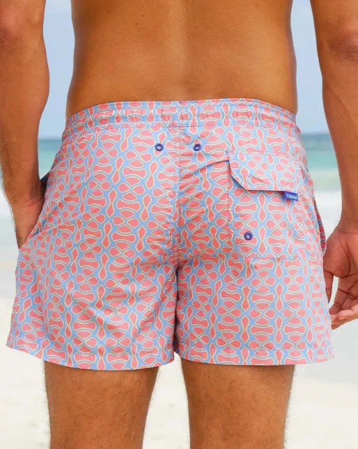 Seyhelles Swim Shorts