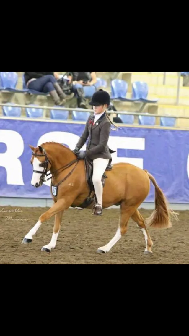 Tayla Girls Hunter Equestrian Show Jacket