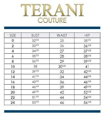Terani Couture 251M432