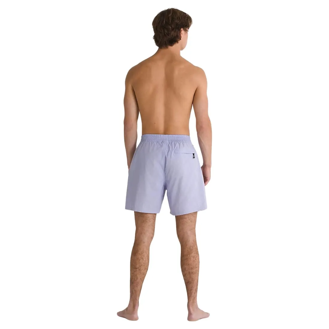 Vans Primary Solid Elastic Boardshorts - Purple