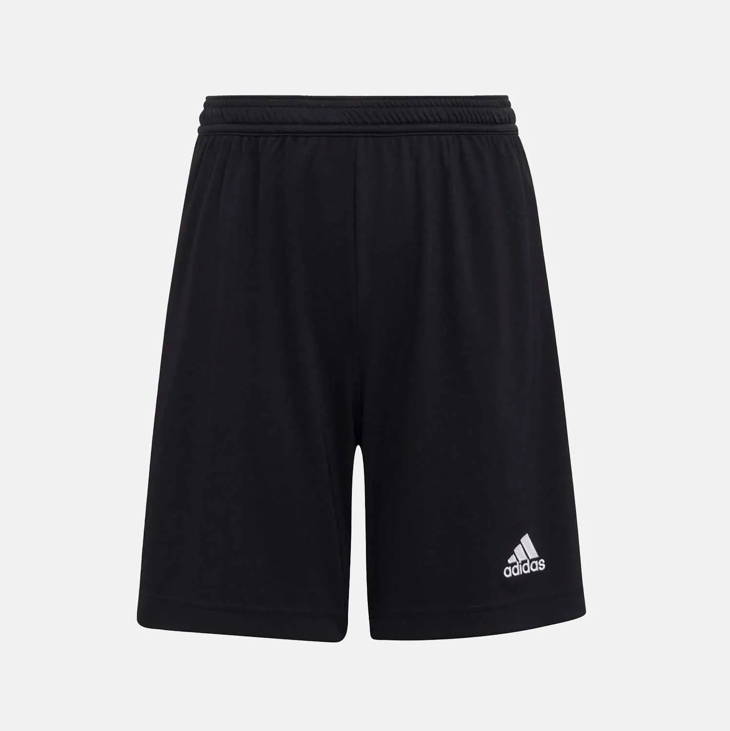 Youth Entrada 22 Shorts